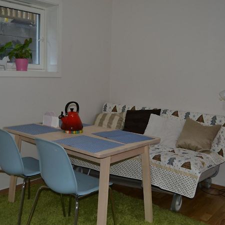Totally Independent Apartment Near Ntnu,Lerkendal And Center Trondheim Exteriér fotografie